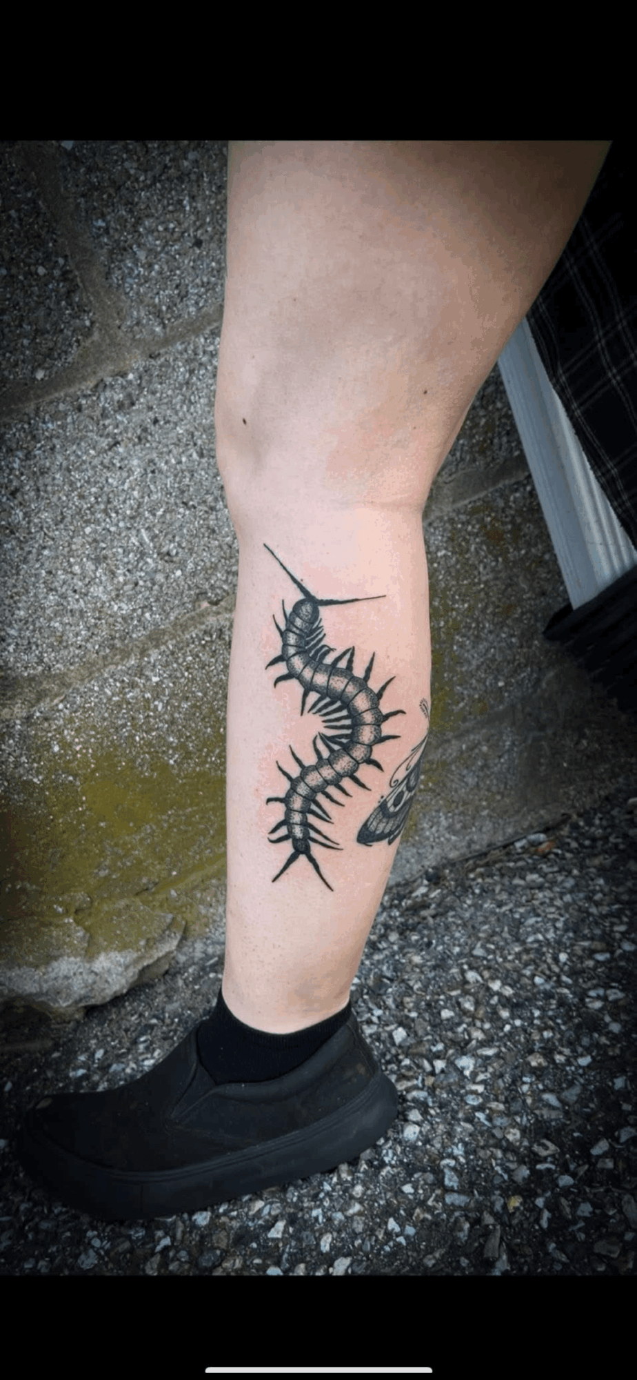 Person's lower leg with a black and gray centipede tattoo, standing on a gravel surface.