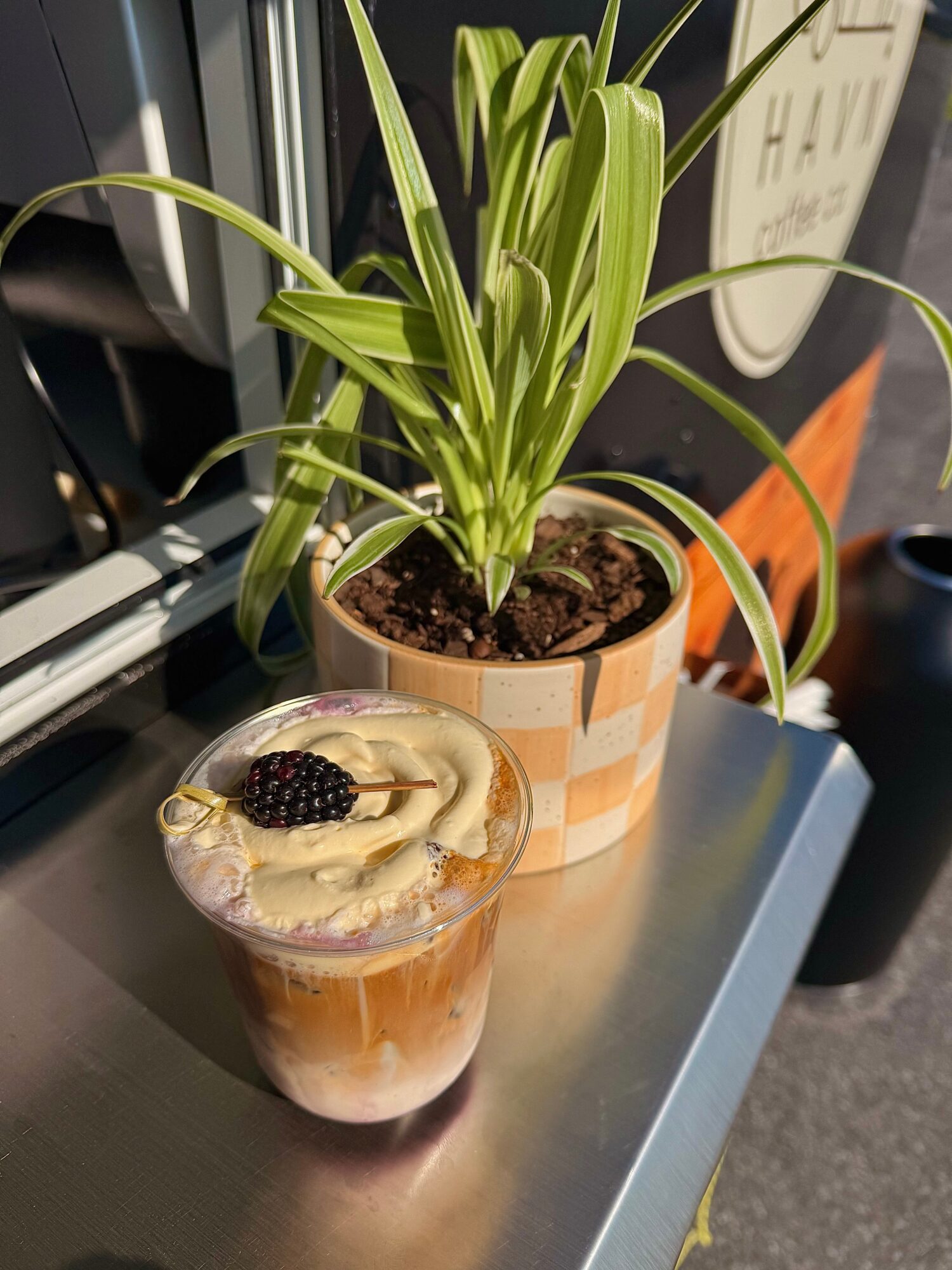 Glass of layered coffee drink topped with whipped cream and a blackberry, placed on a table next to a potted plant.