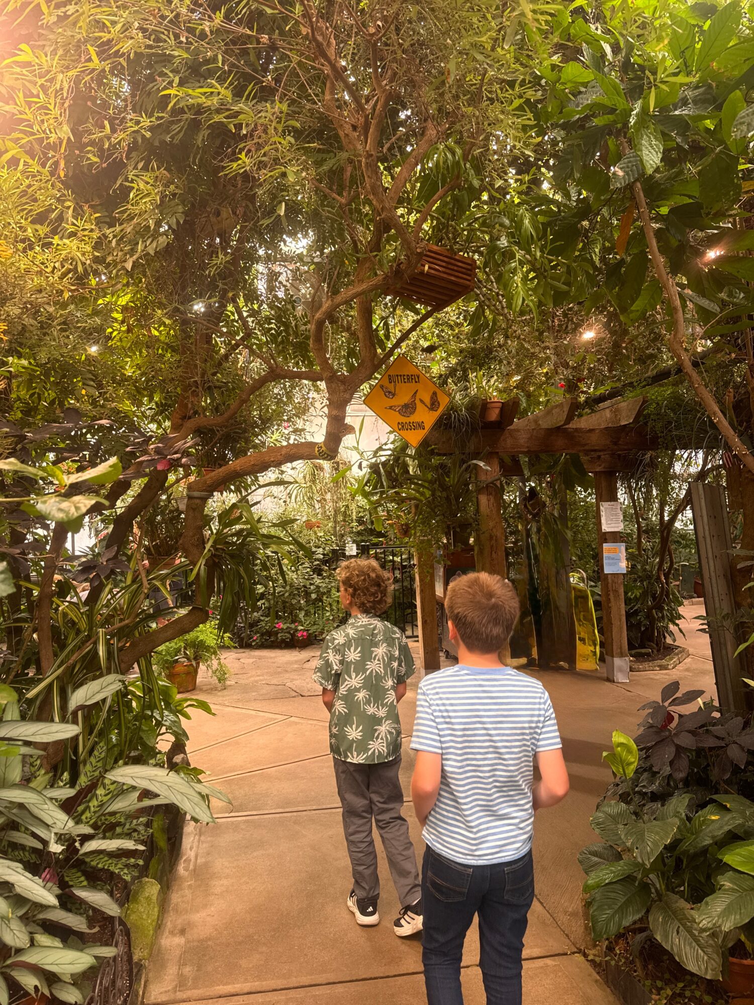 Two children walk along a path surrounded by lush green plants and trees, with signs hanging from branches.