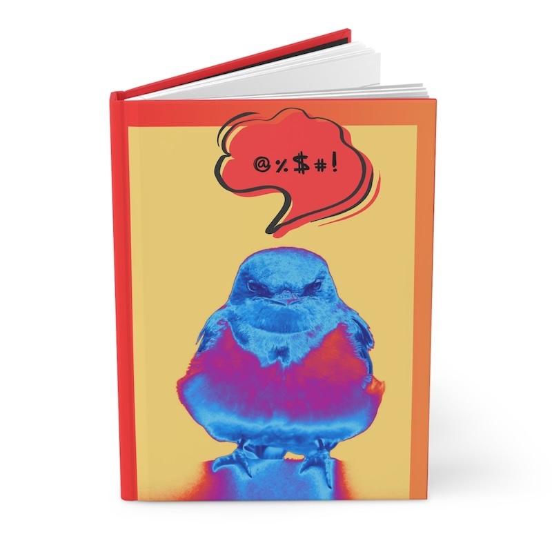 Book with a colorful frog illustration and a speech bubble with symbols, on a yellow background. Word count: 20.