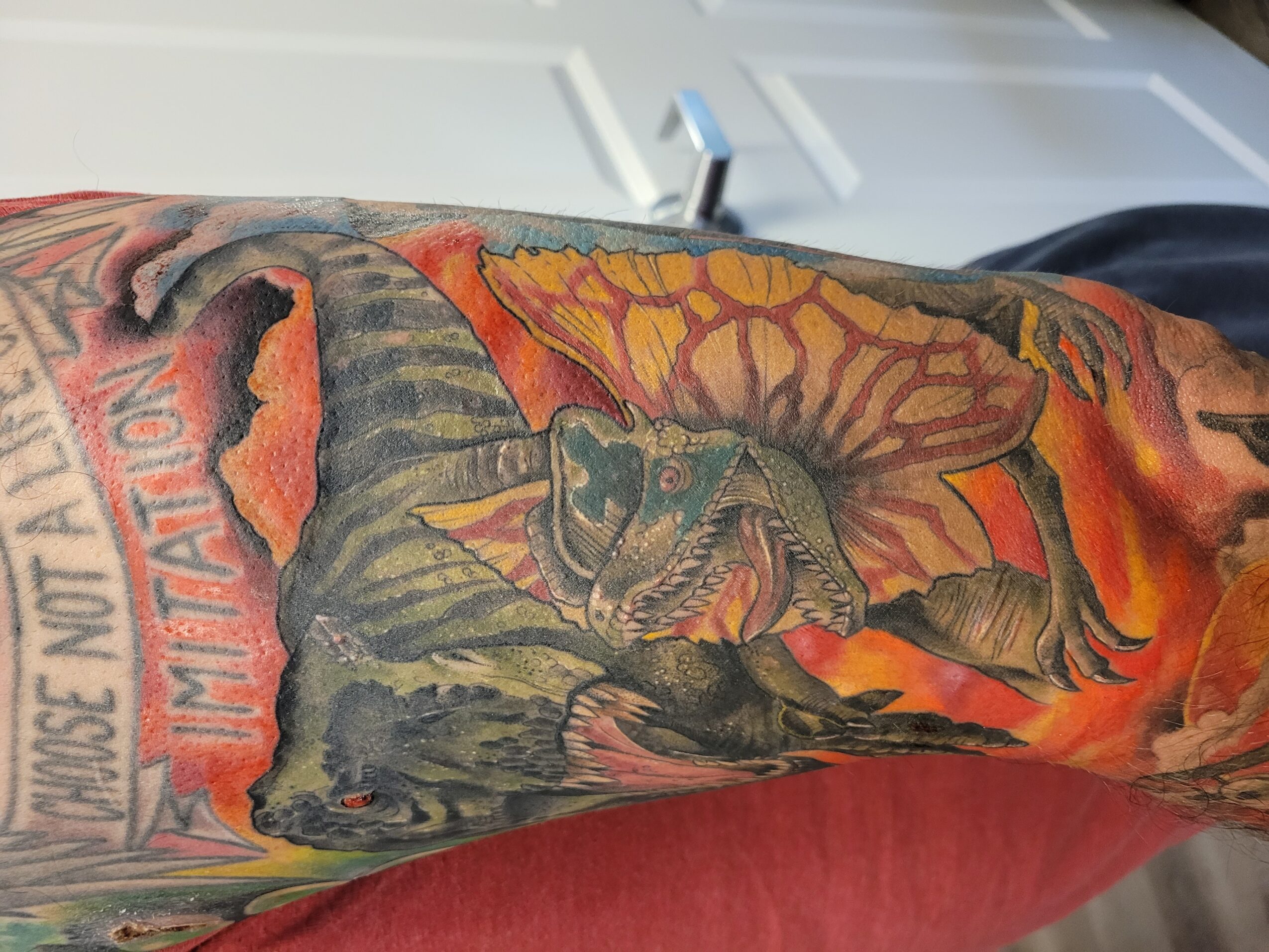 Tattooed arm with a dragon, flames, and text, in a colorful, detailed style.