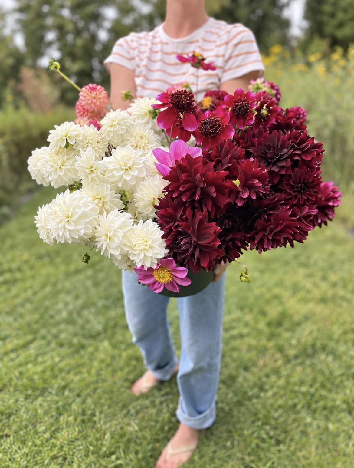 Person holding large bouquet of pink, white, and burgundy flowers outdoors, wearing a striped shirt and jeans, with grass and trees in background.
