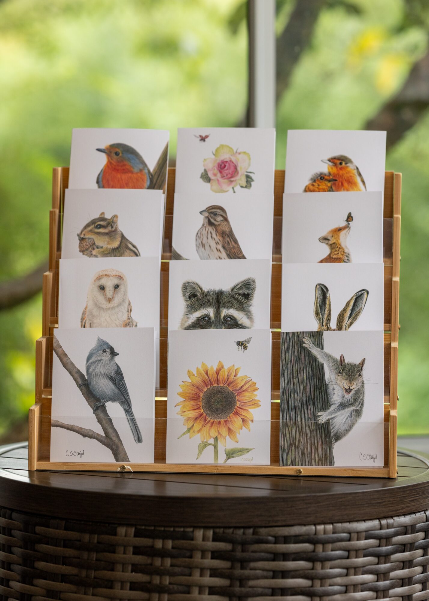 Display of illustrated bird and flower cards on a wooden stand with a blurred green outdoor background.