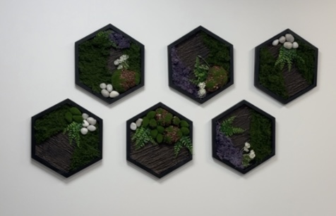 Six hexagonal wall planters with green plants and white decorative objects, arranged in two rows of three on a white wall.