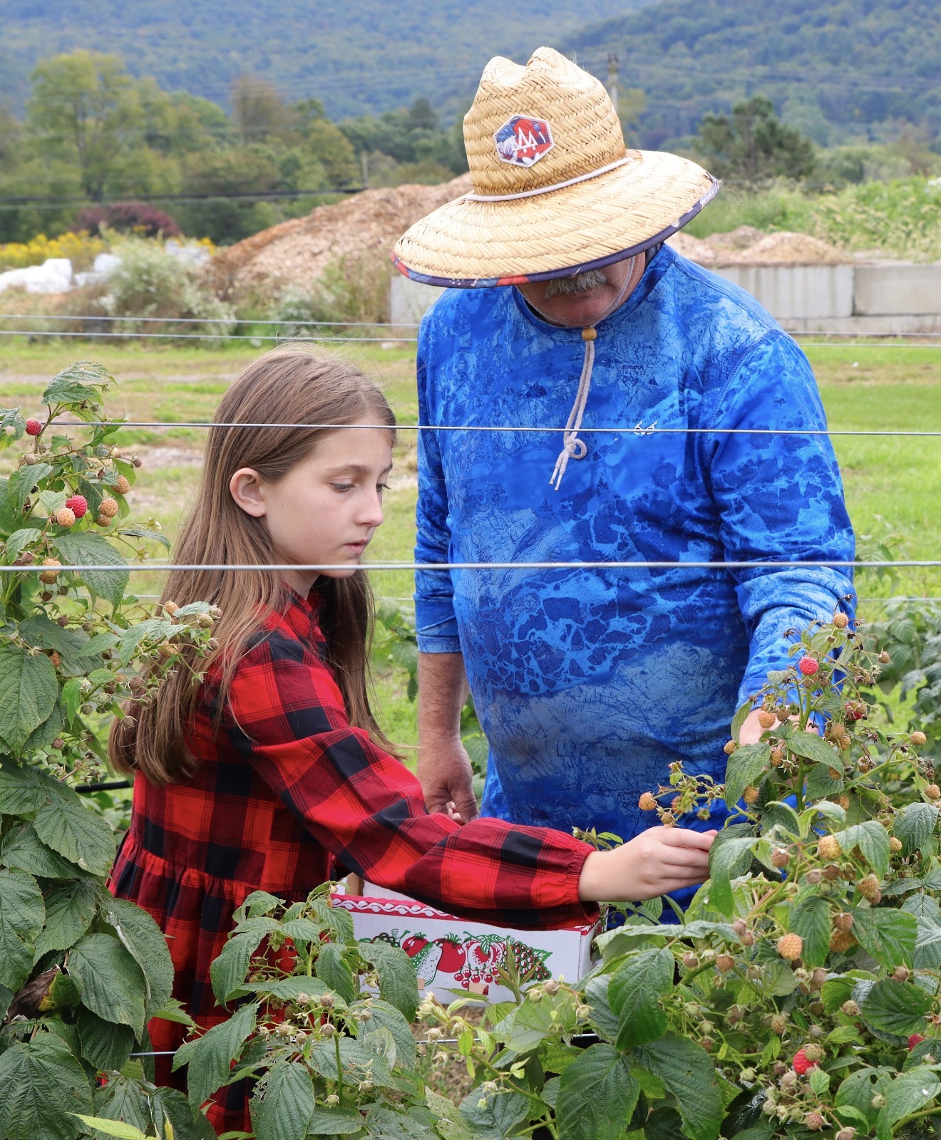 A girl in a red plaid shirt and a person in a blue shirt and straw hat are picking berries in a garden.
