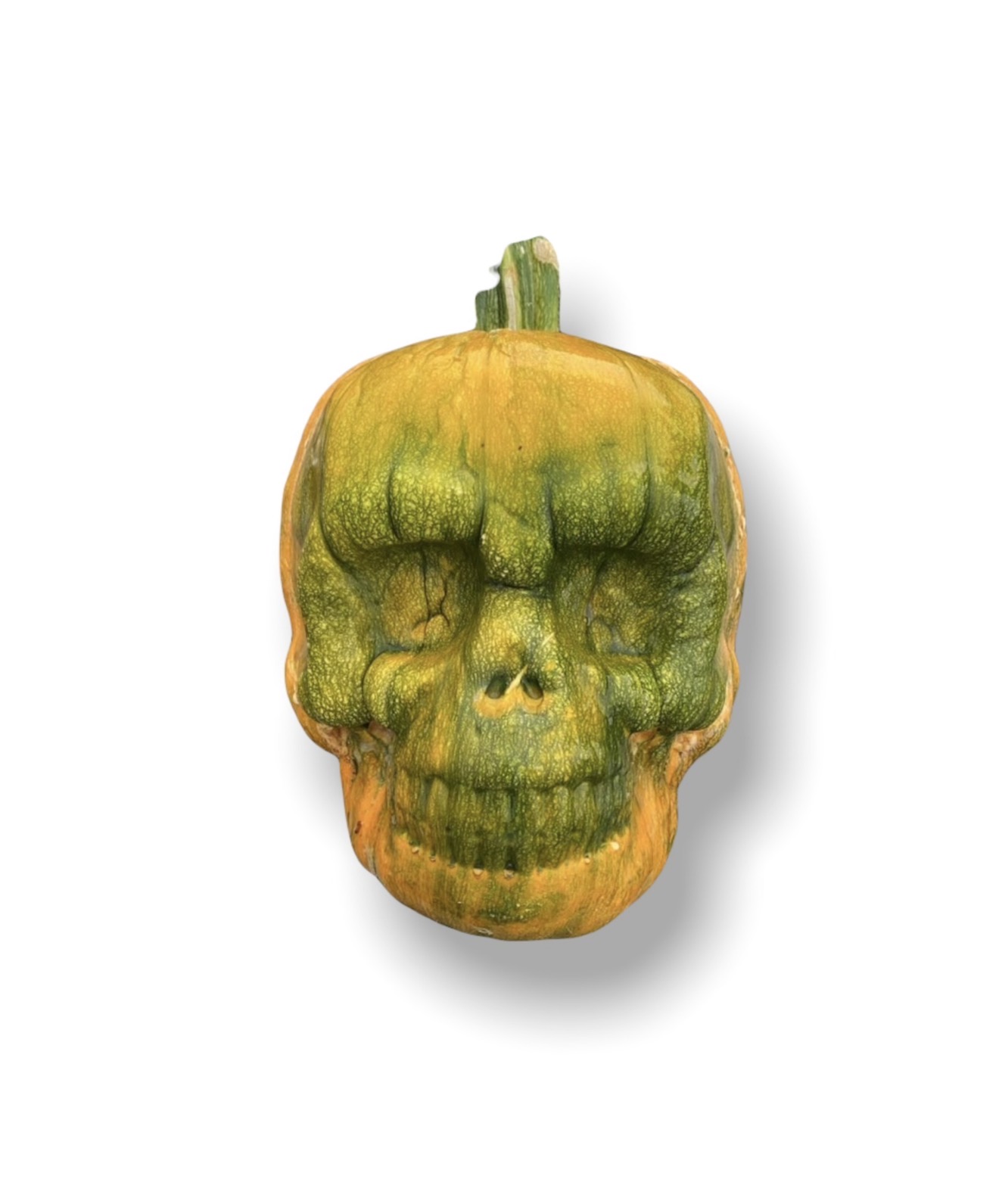A pumpkin carved into a skull shape with green and orange coloring, on a white background.