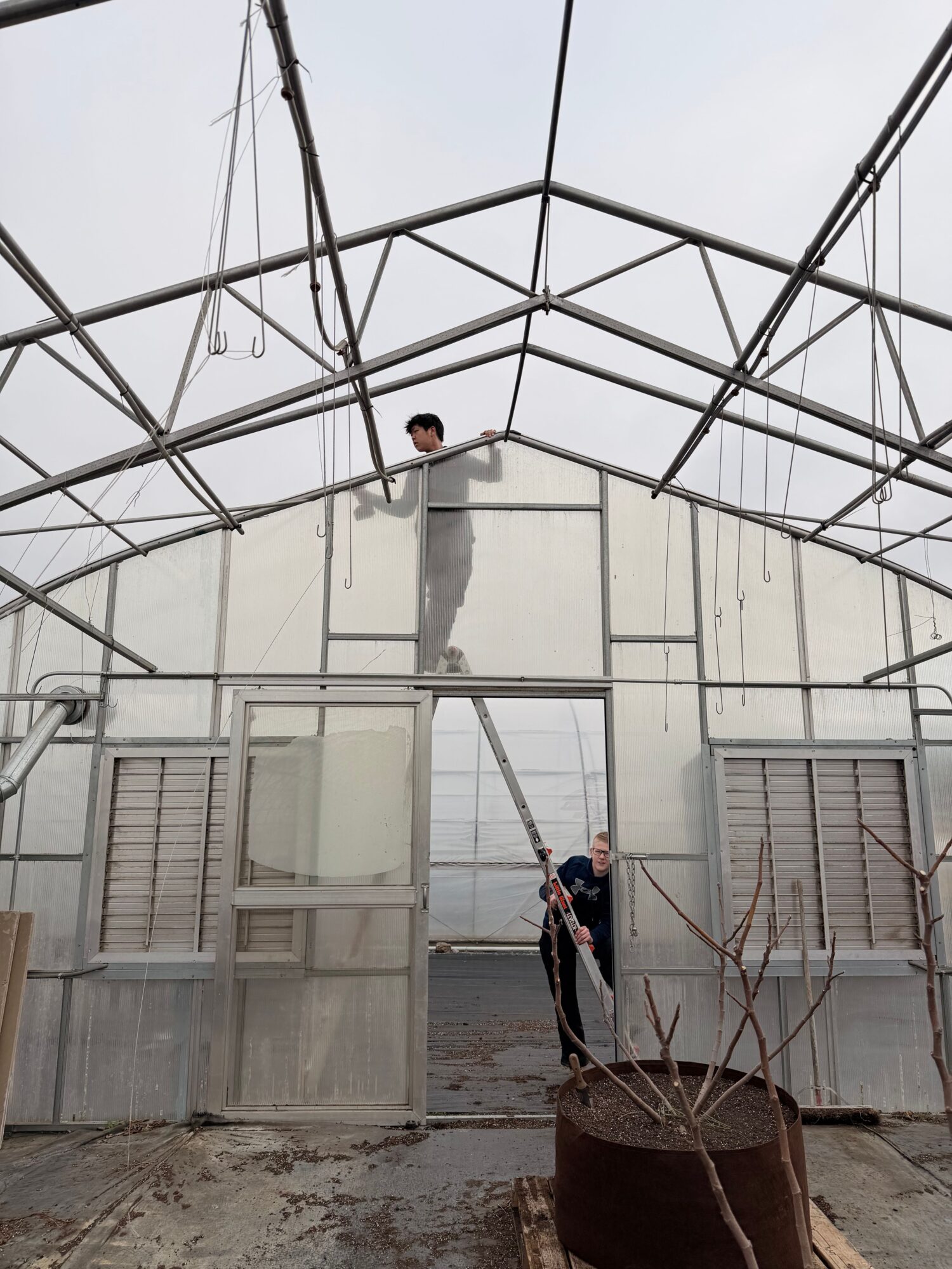 Person cleaning greenhouse glass with a long tool, metal structure, and door in background.