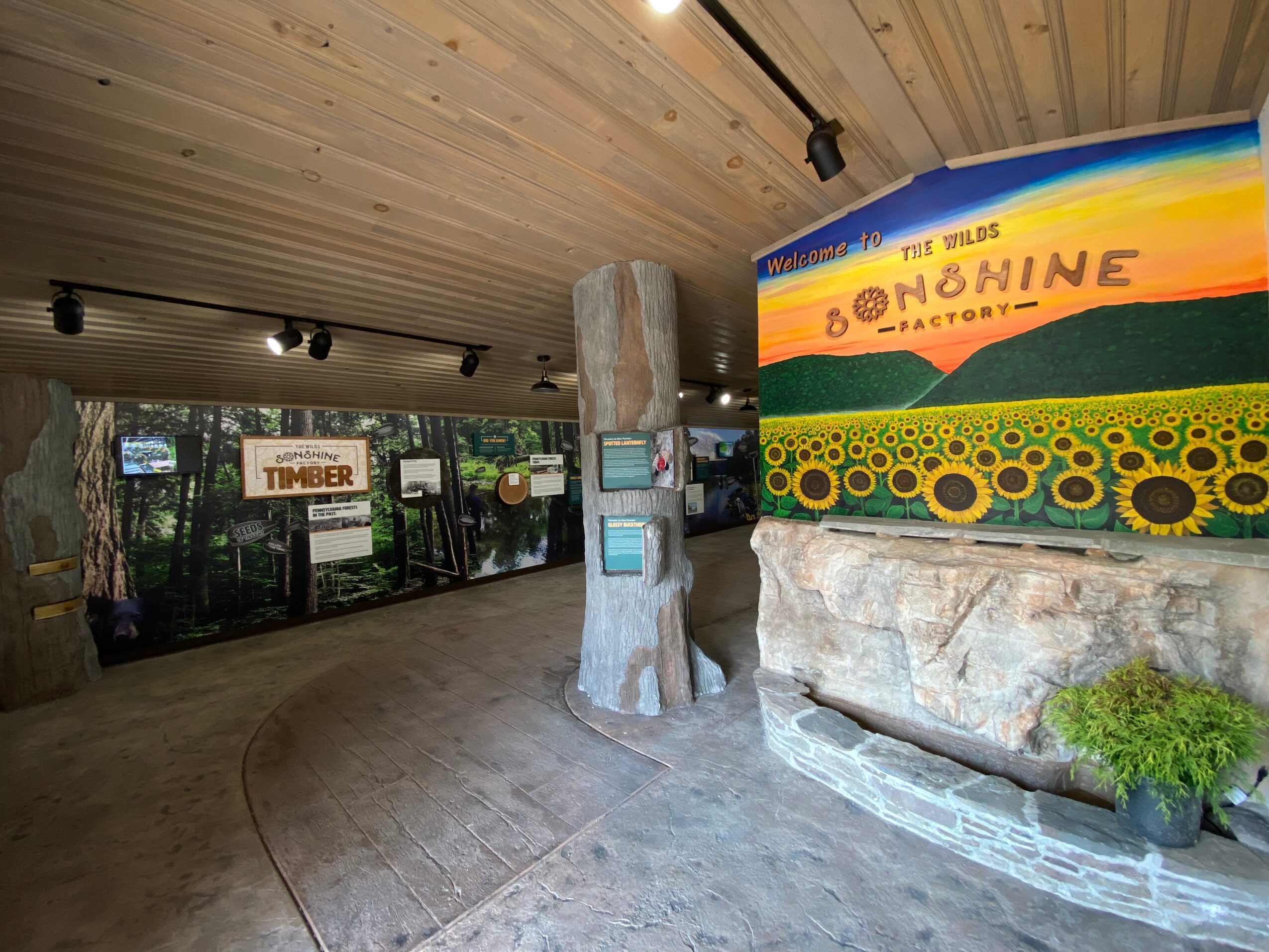Indoor space with wooden ceiling, concrete pillar, colorful mural, and display panels, with a curved floor and potted plant.