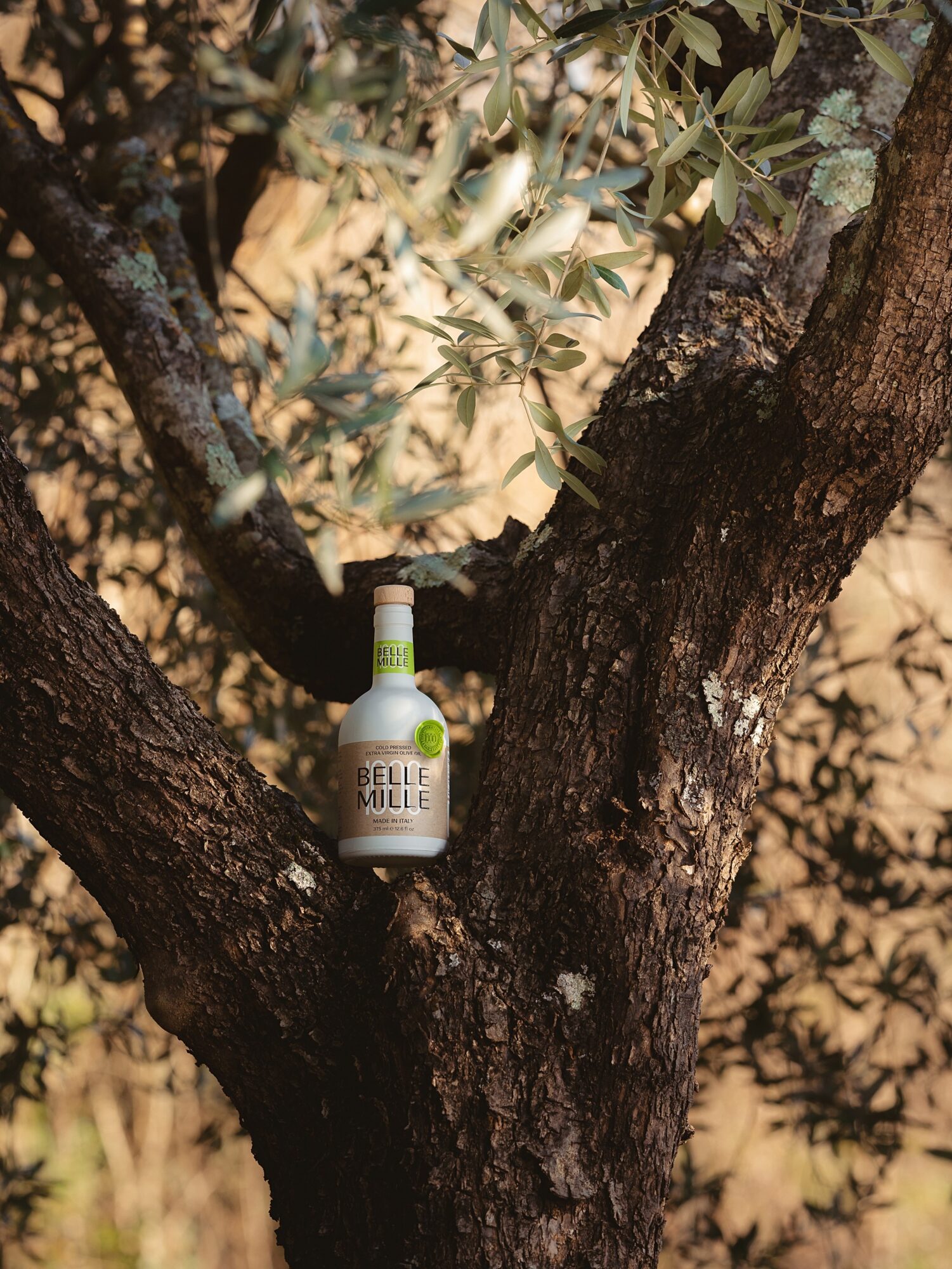 A bottle of Belle Mulle wine is placed on a tree branch with leaves and bark visible, sunlight filtering through.