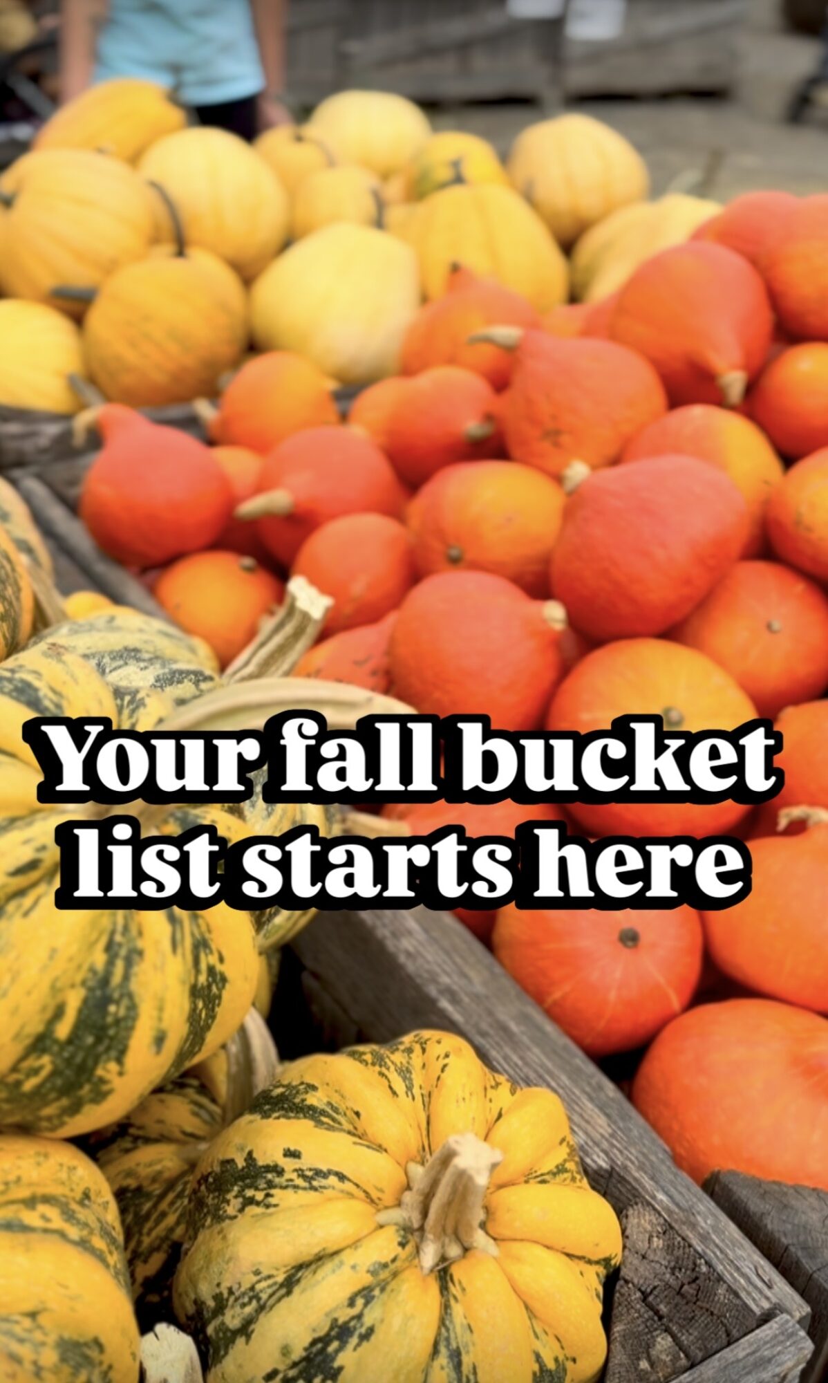 Display of yellow and orange pumpkins and red apples at a market stall.
