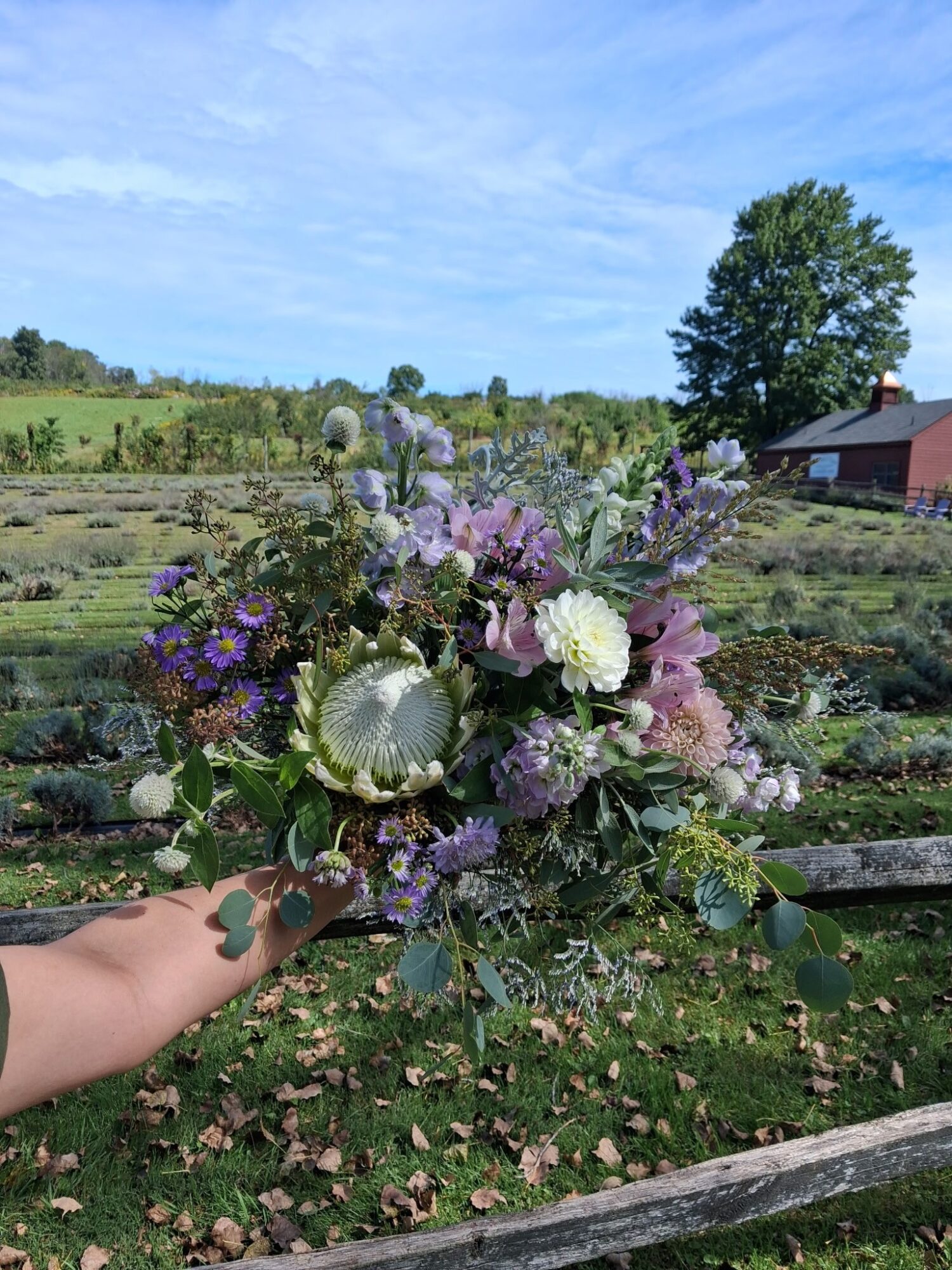 Hand holding a colorful bouquet of flowers outdoors with fields, trees, and a building in the background.