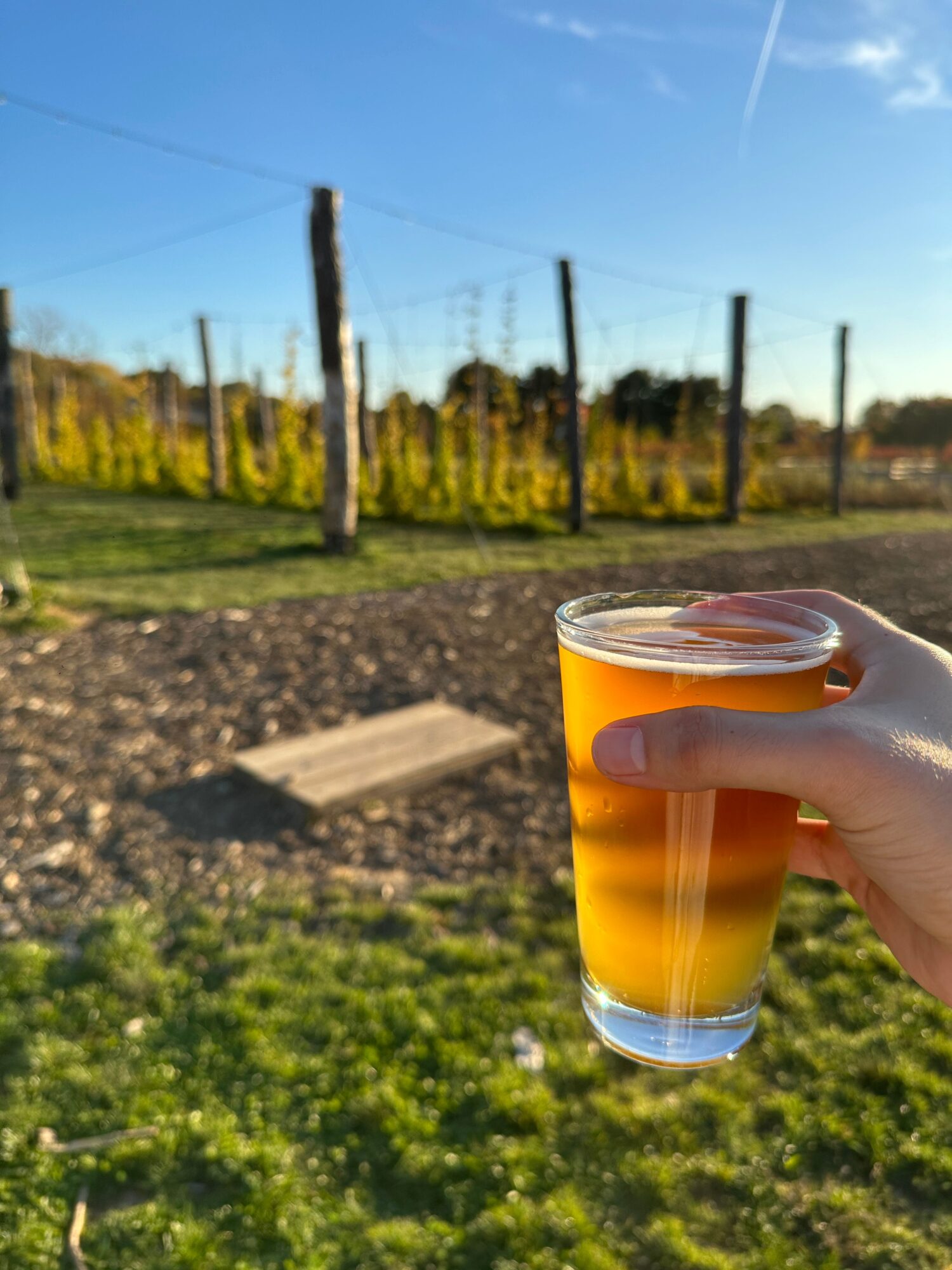Hand holding a glass of beer outdoors with trees and a clear sky in the background.