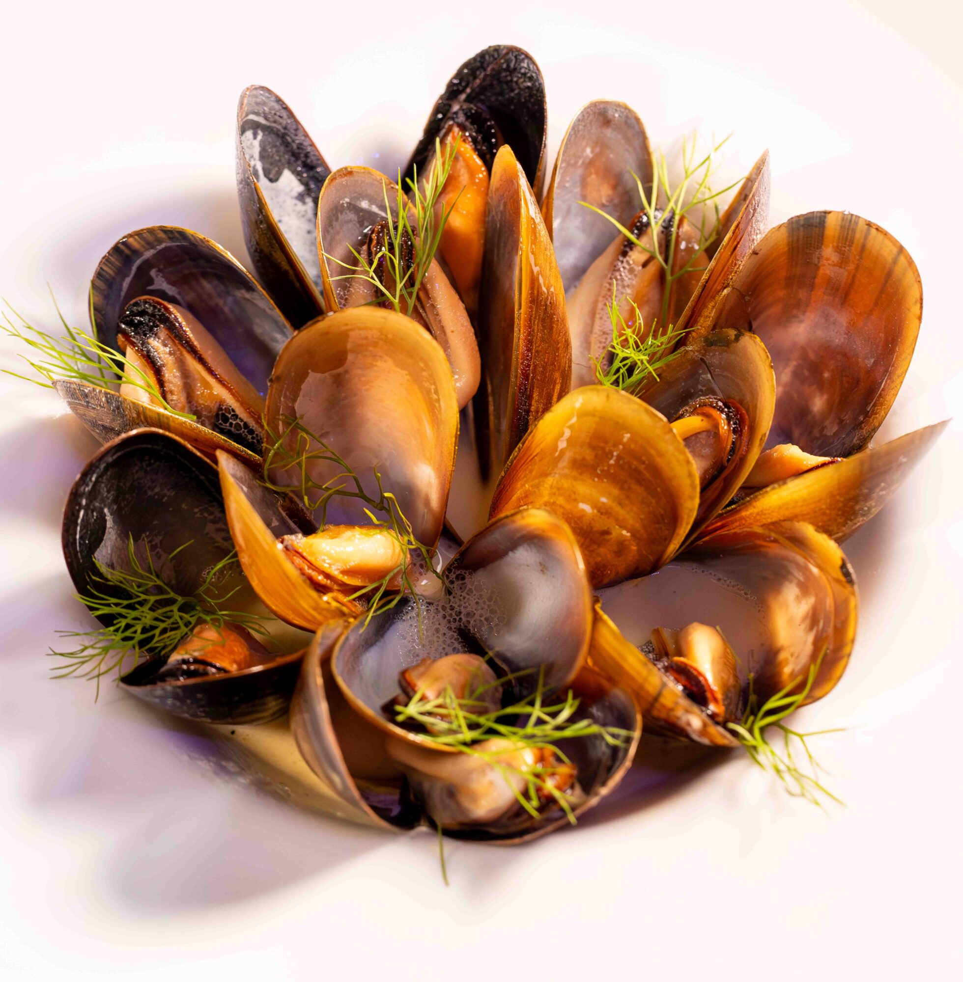 A bowl of cooked mussels garnished with green herbs on a white background.