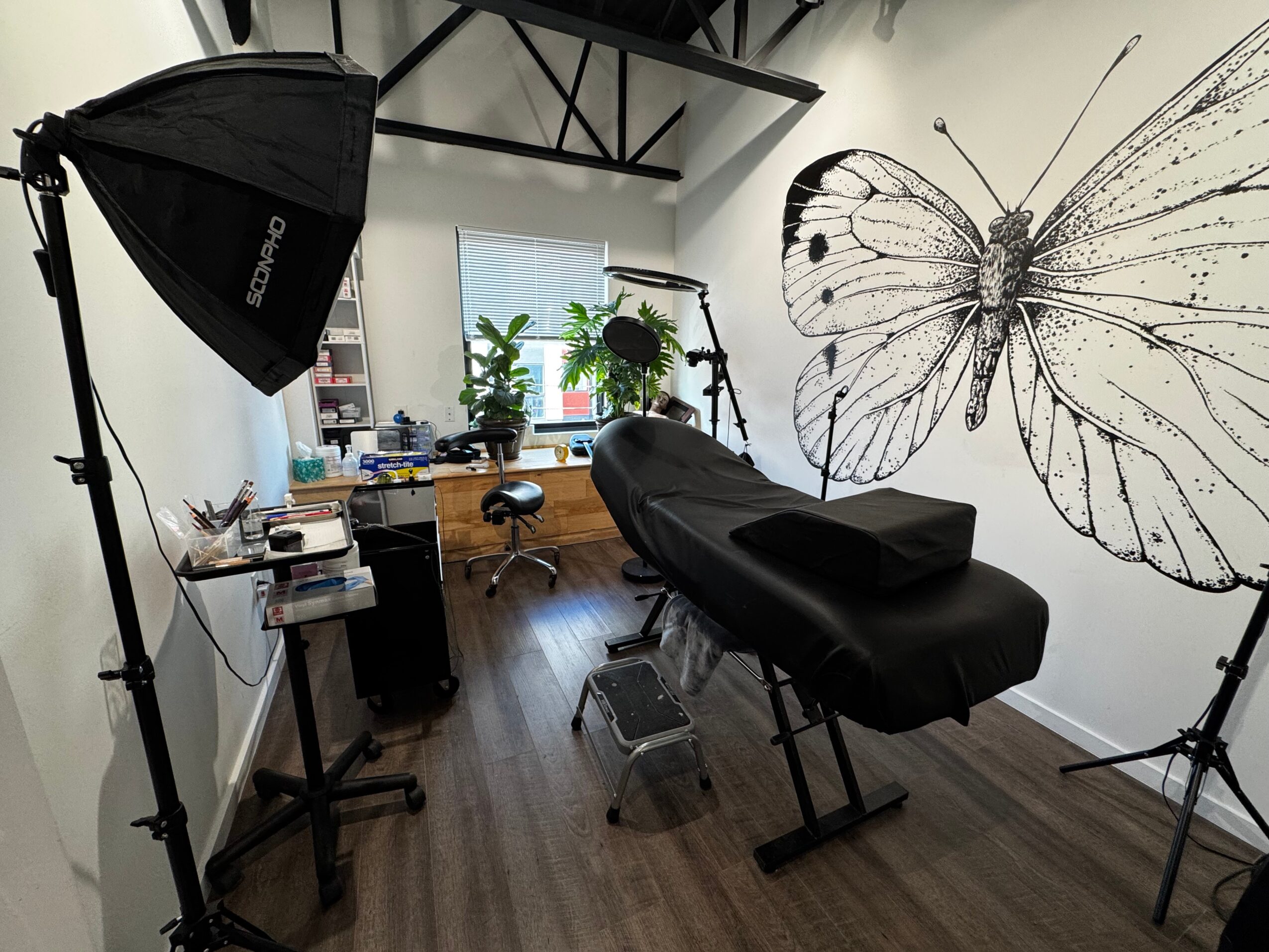 A room with a massage table, photography equipment, a window with plants, and a large butterfly wall art.