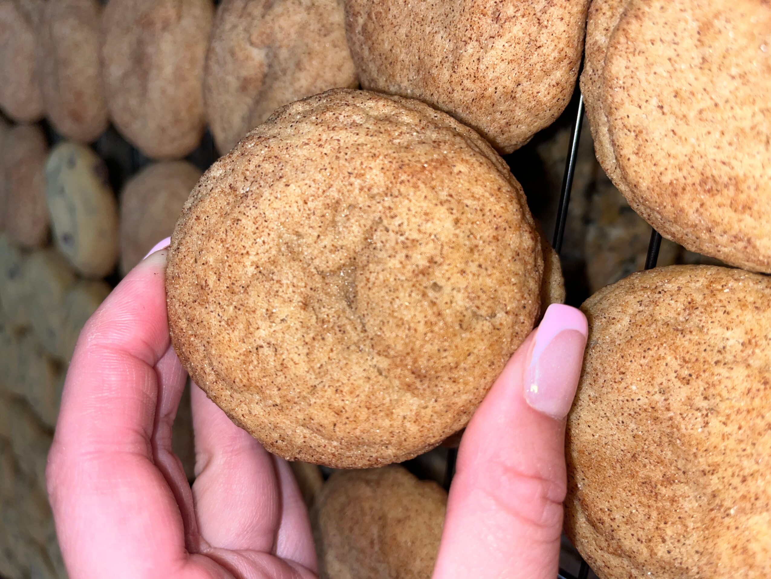 Hand holding a round, brown, textured object among similar objects, with a pink nail polish on the thumb and index finger.