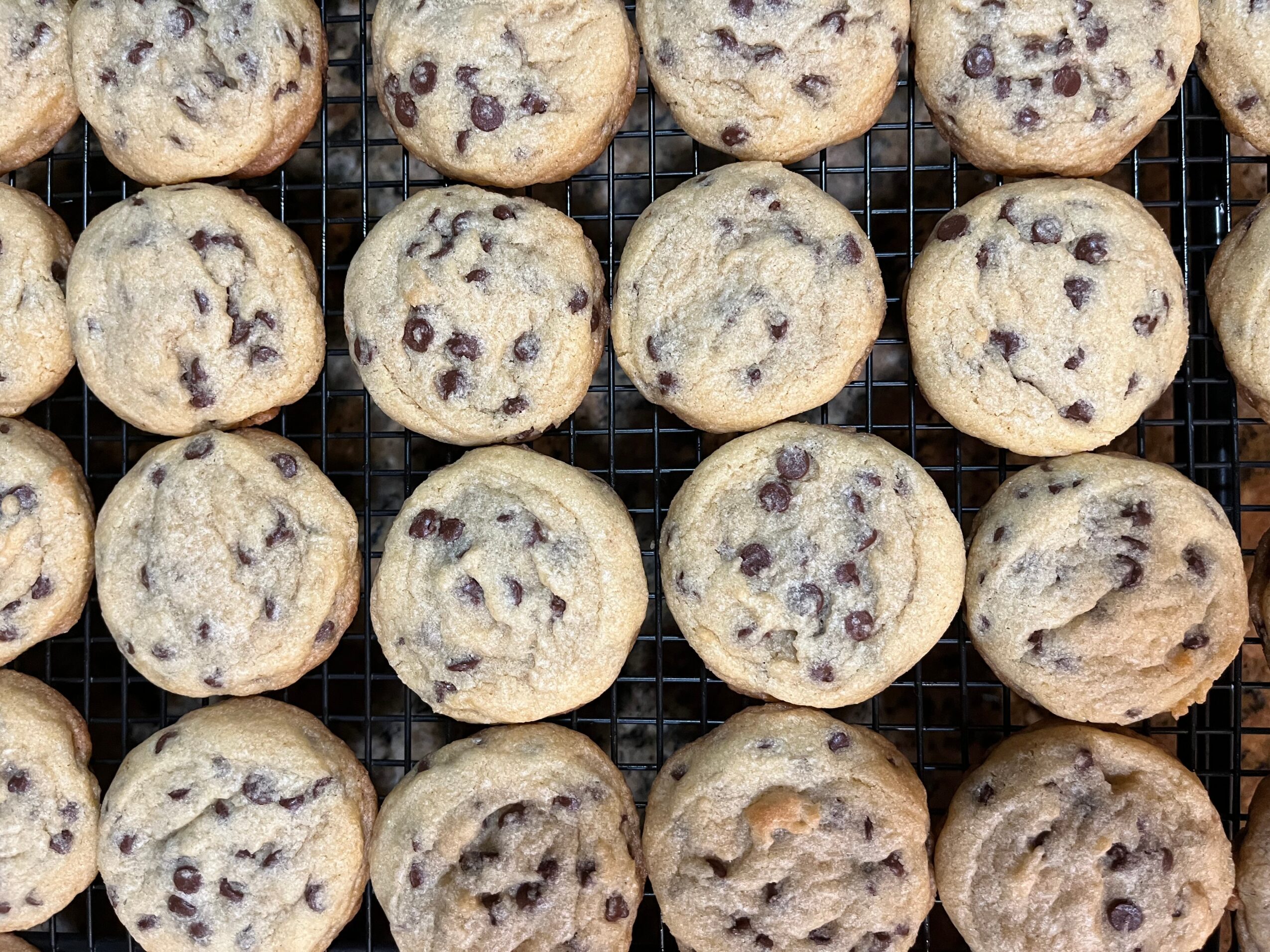 Freshly baked blueberry muffins on a wire rack, with blueberries visible in each muffin.